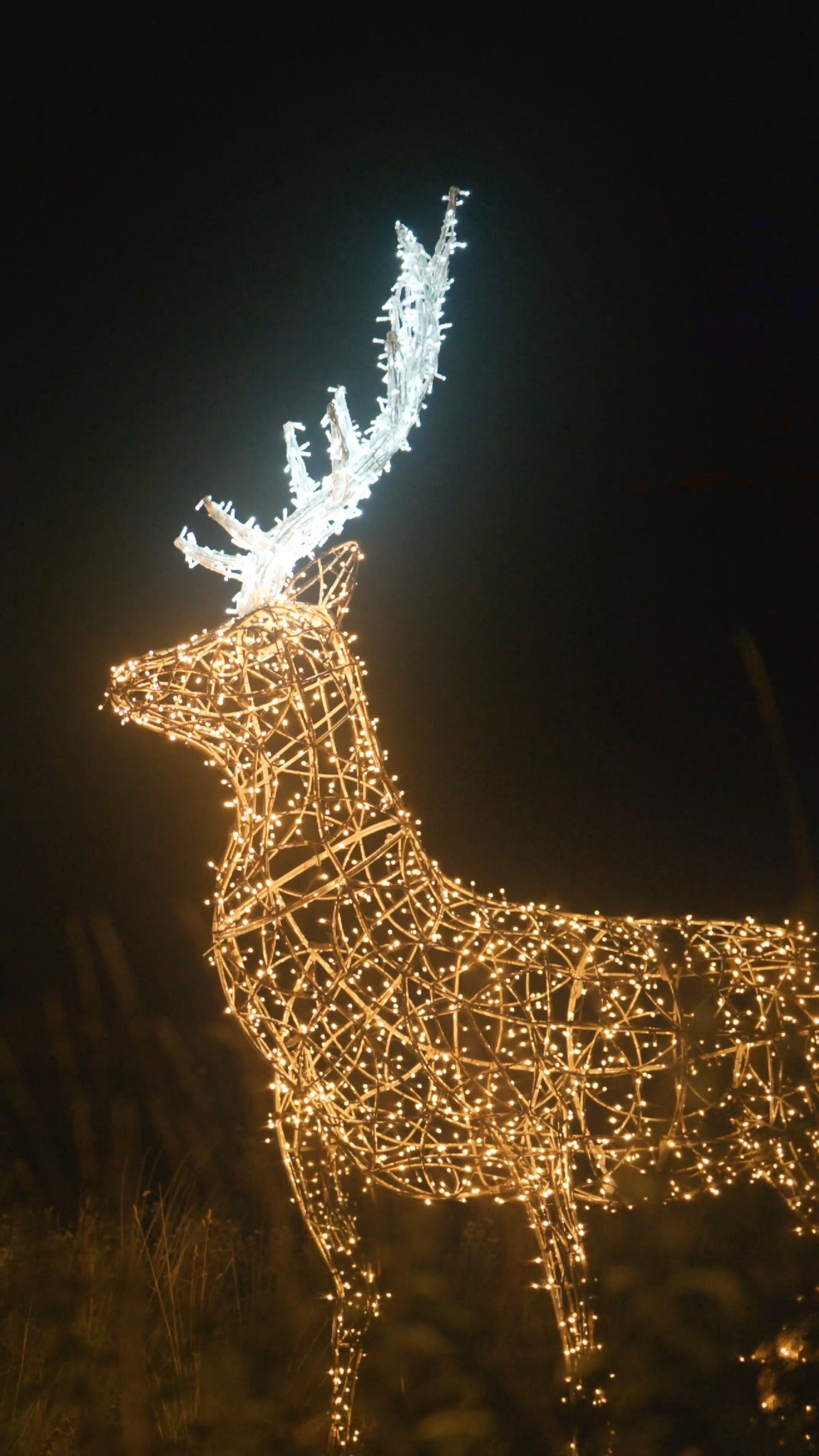 #storyoflights bejegyzés