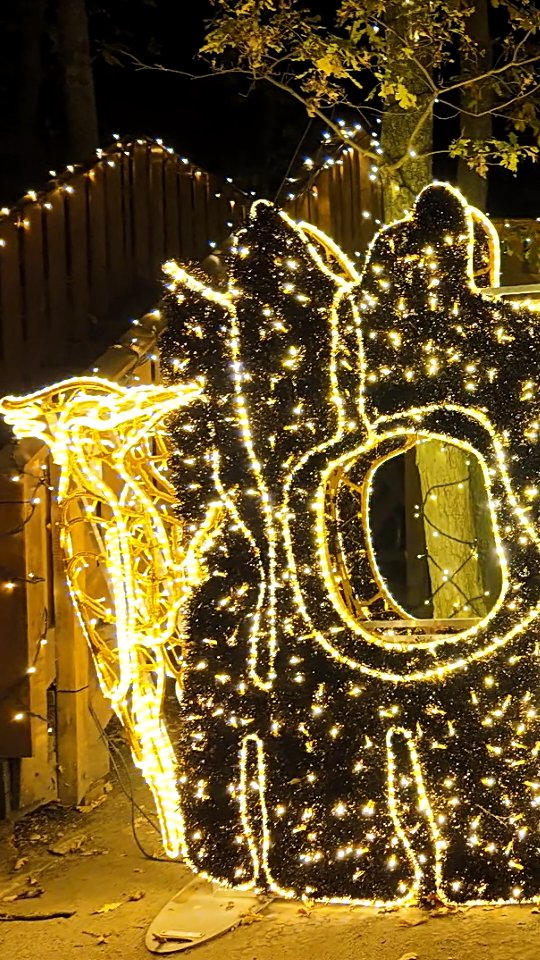 #storyoflights bejegyzés
