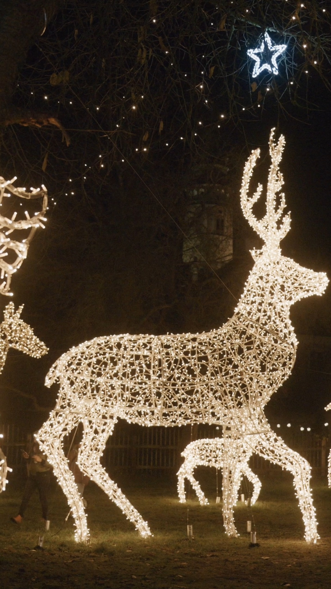 #storyoflights bejegyzés