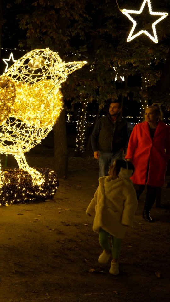 #storyoflights bejegyzés