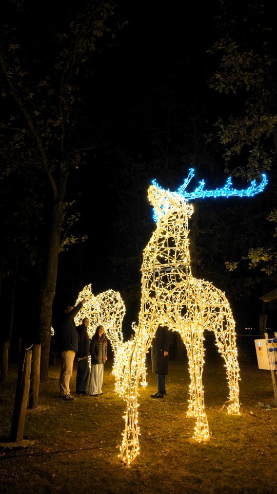 #storyoflights bejegyzés